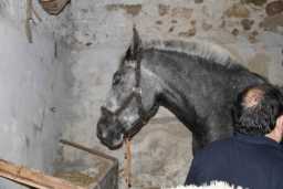 Calatafimi - Segesta23.JPG